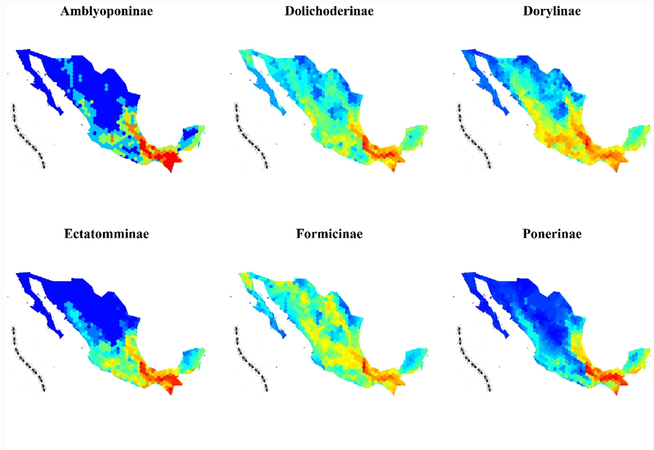 Distribución, Diversidad y Conservación 